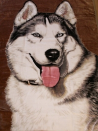 Одеяло HUSKY