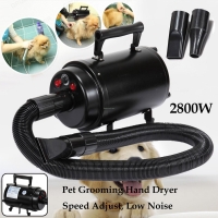 Новый профессиональный Blaster  Pet Dryer´s 2800W