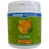 Canina Kräuter-DOC GELENKE (Геленке)